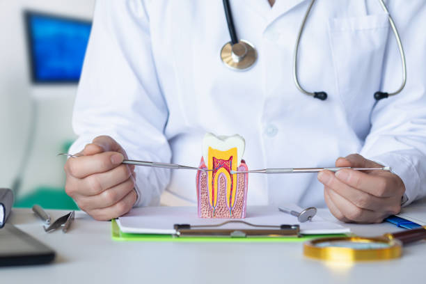 , CA Emergency Dental Service Company